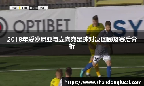 2018年爱沙尼亚与立陶宛足球对决回顾及赛后分析