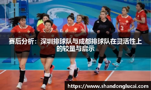 赛后分析：深圳排球队与成都排球队在灵活性上的较量与启示